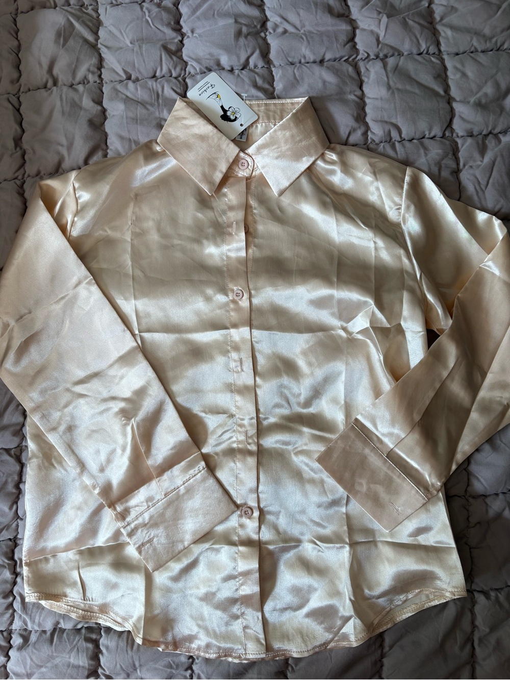 Silky Satin Button-Up Blouse in Pale Champagne